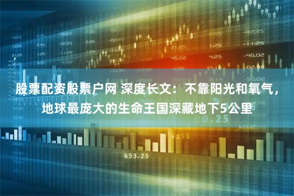 股票配资股票户网 深度长文：不靠阳光和氧气，地球最庞大的生命王国深藏地下5公里